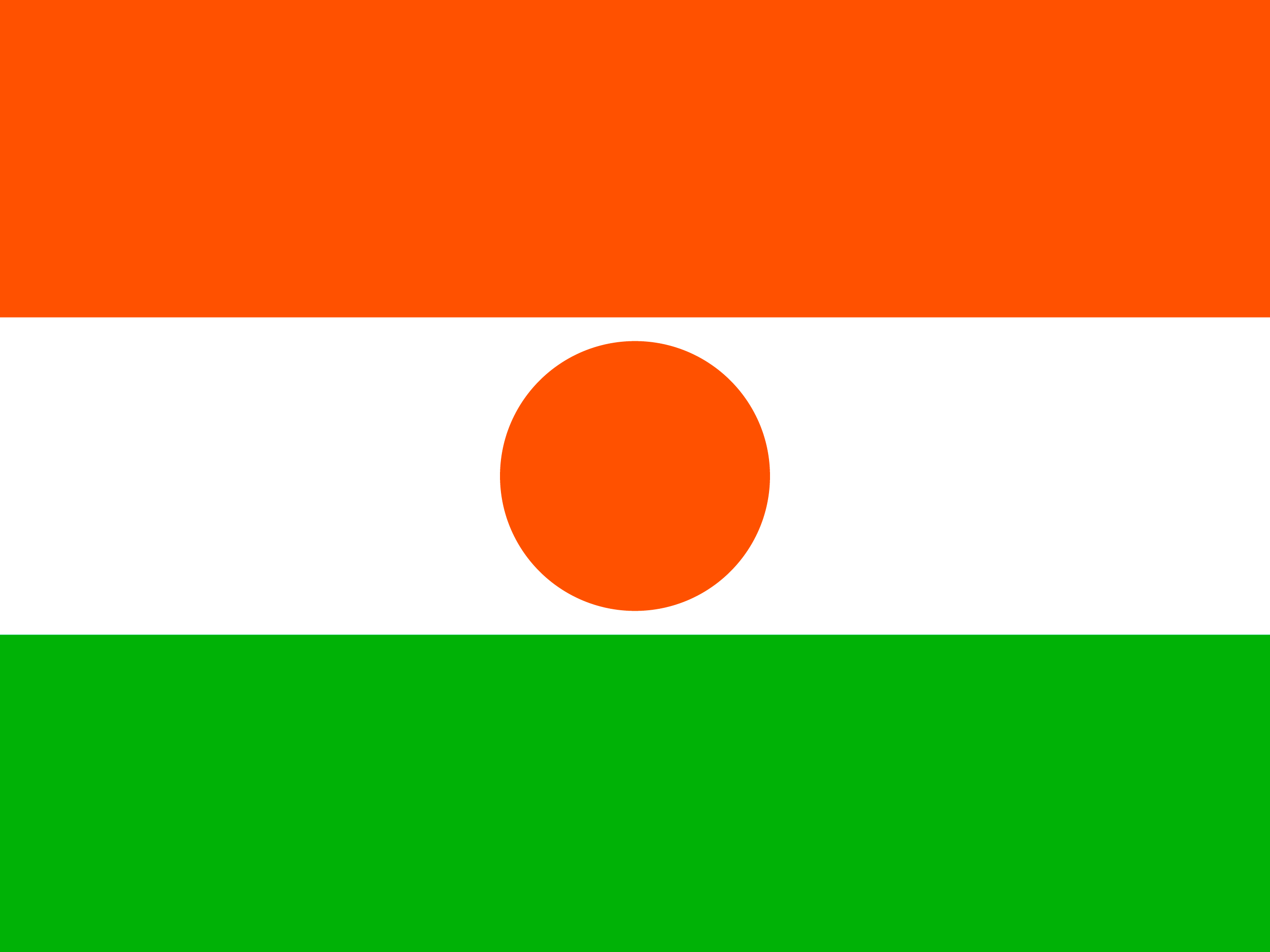 Bandera de Níger