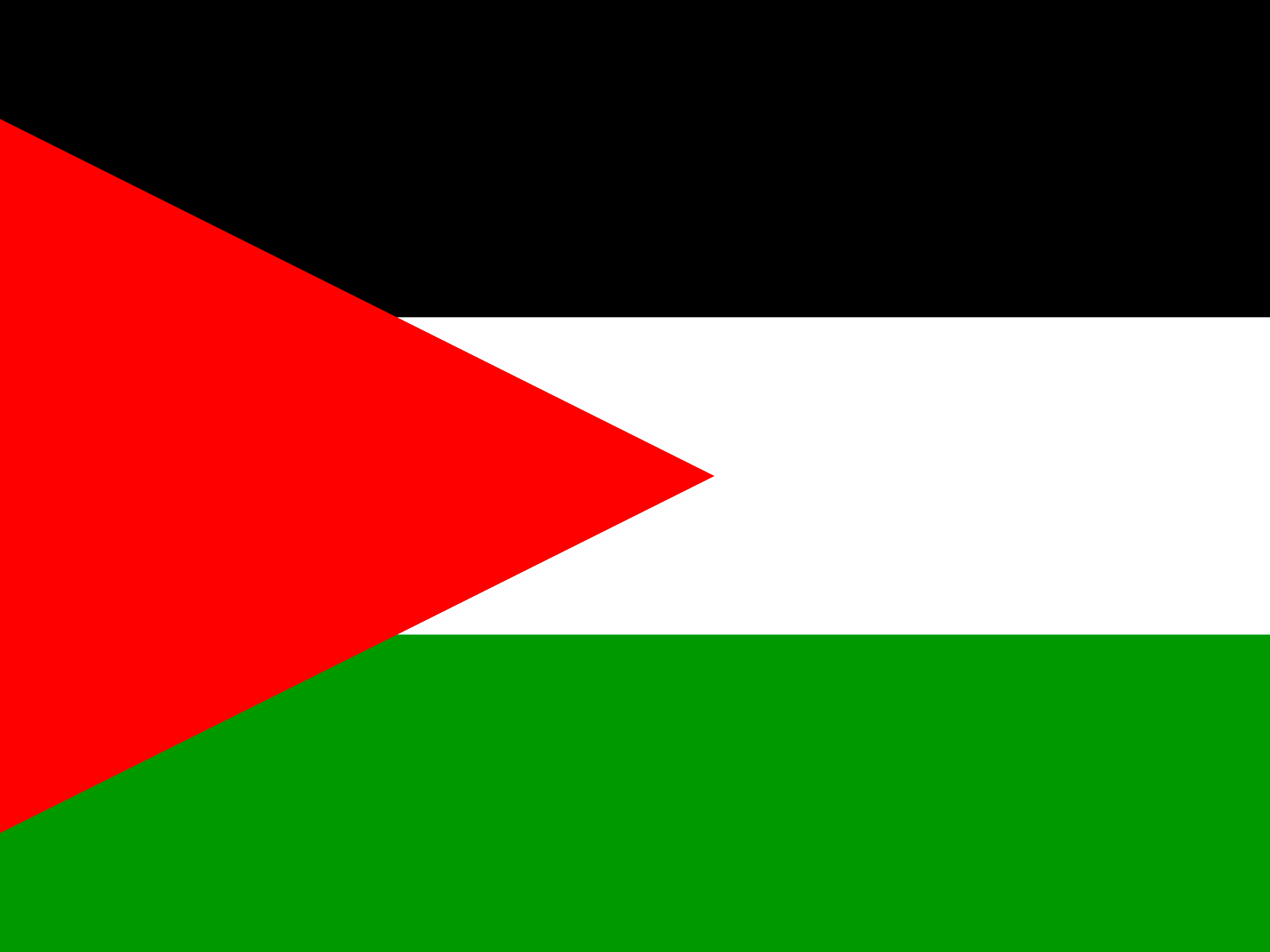 Bandera de Palestina