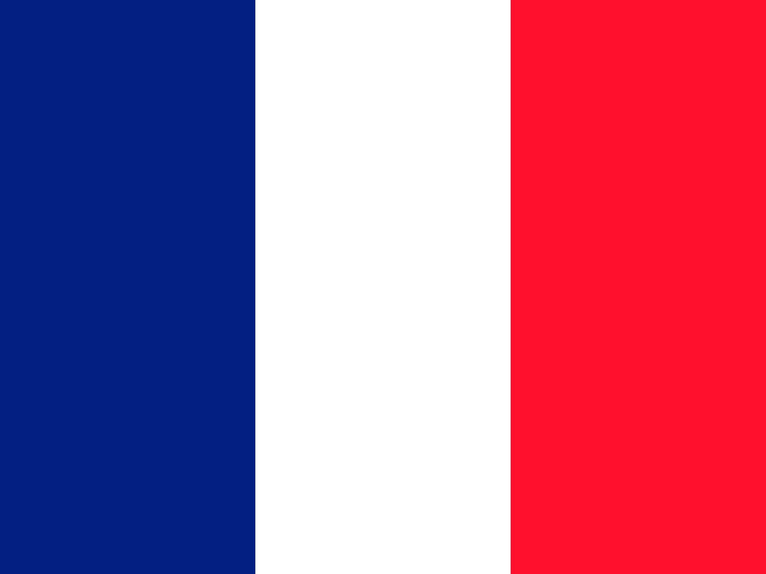 Bandera de Reunión