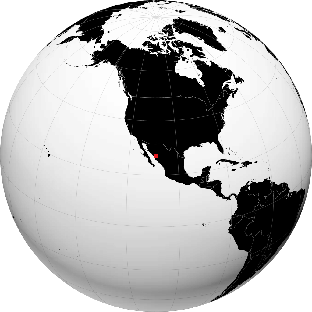 Alamos en el globo