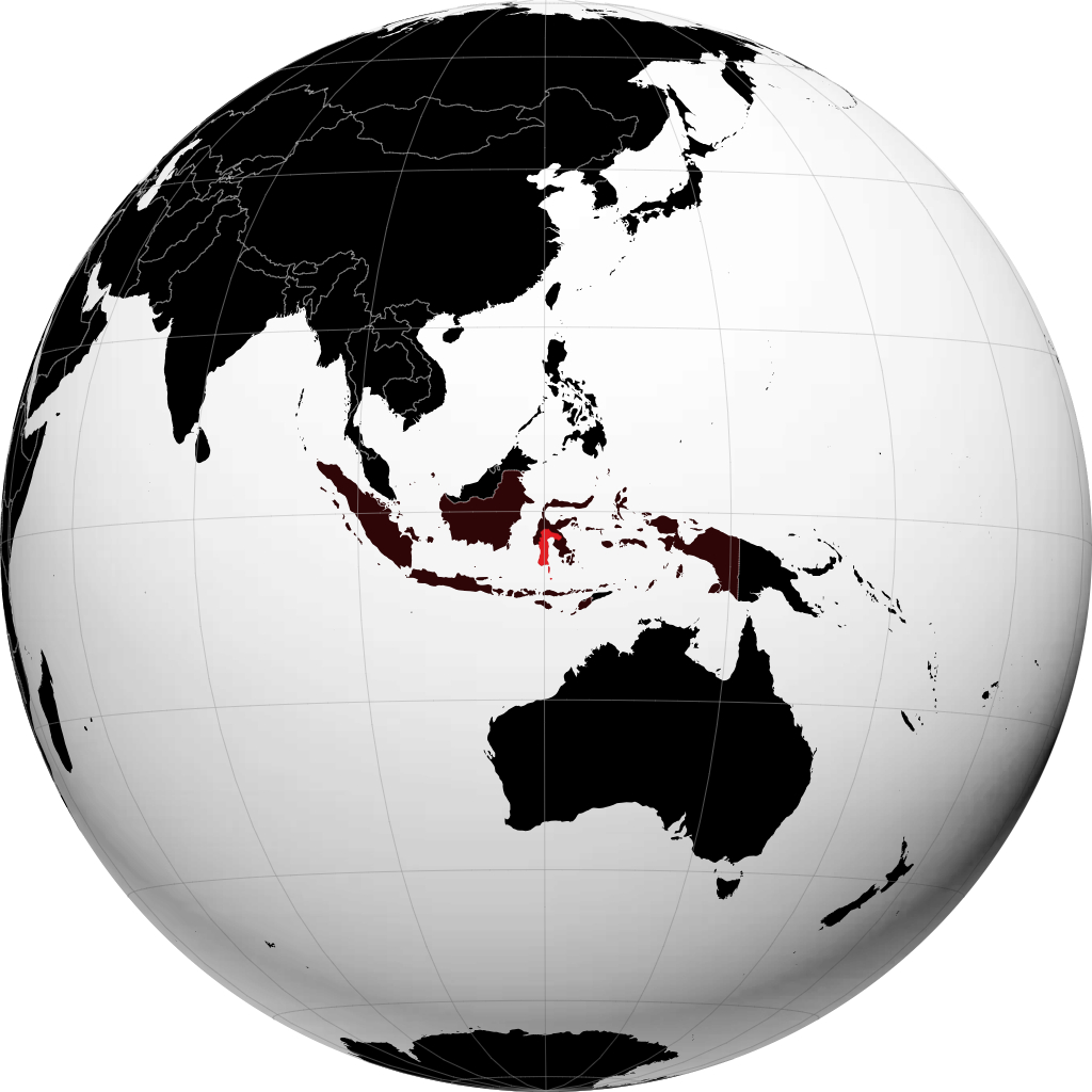 Sulawesi del Sur en el globo