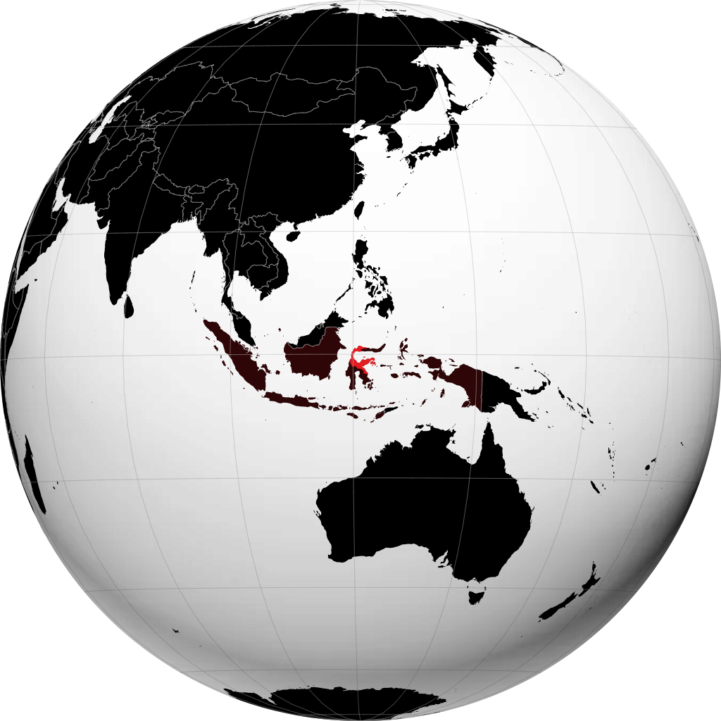 Sulawesi Central en el globo