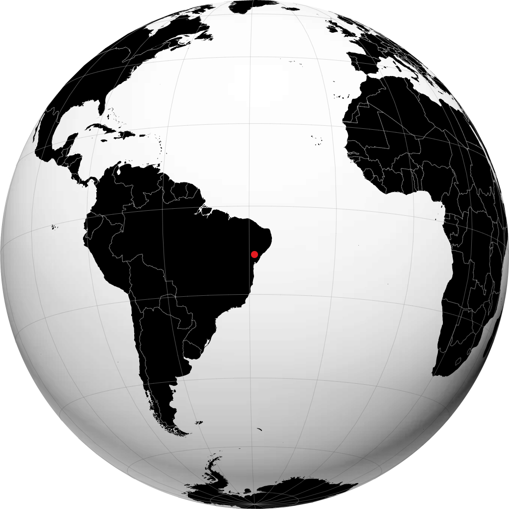 Tucano en el globo